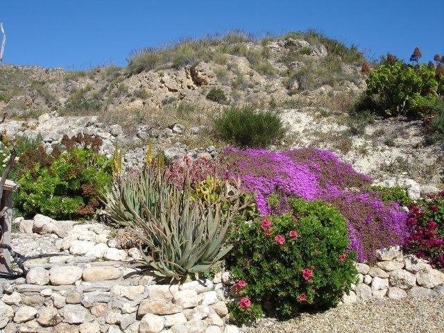 Almond Reef Casa Rural Los Alias Zimmer foto